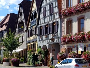 Exterior - L'Arbre Rose, L'Arbre Rose à Bergheim (Bergheim)