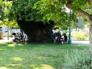 施設の敷地