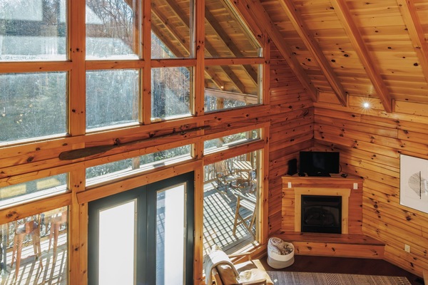 Smart TV, fireplace, books, computer monitors