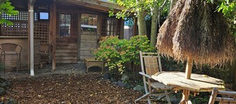 Nestled in the charming University Place, our cozy house is a perfect retreat! 