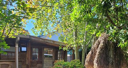 Nestled in the charming University Place, our cozy house is a perfect retreat!