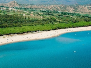 Nära stranden