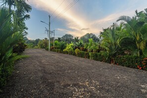 A gravel road flanked by lush greenery and flowering plants. - Kaluma Villas (Peñas Blancas)