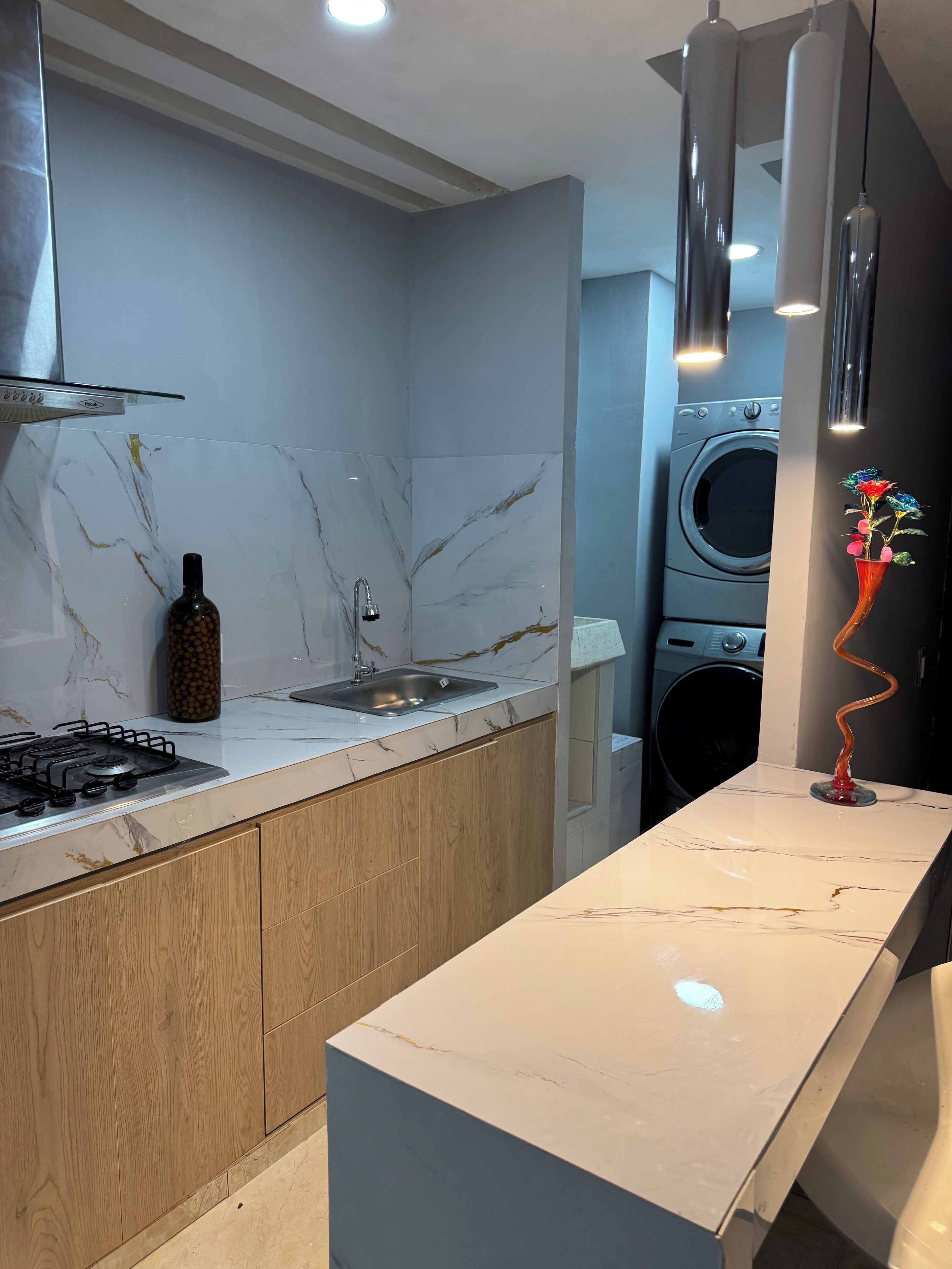 Fridge, microwave, stovetop, blender