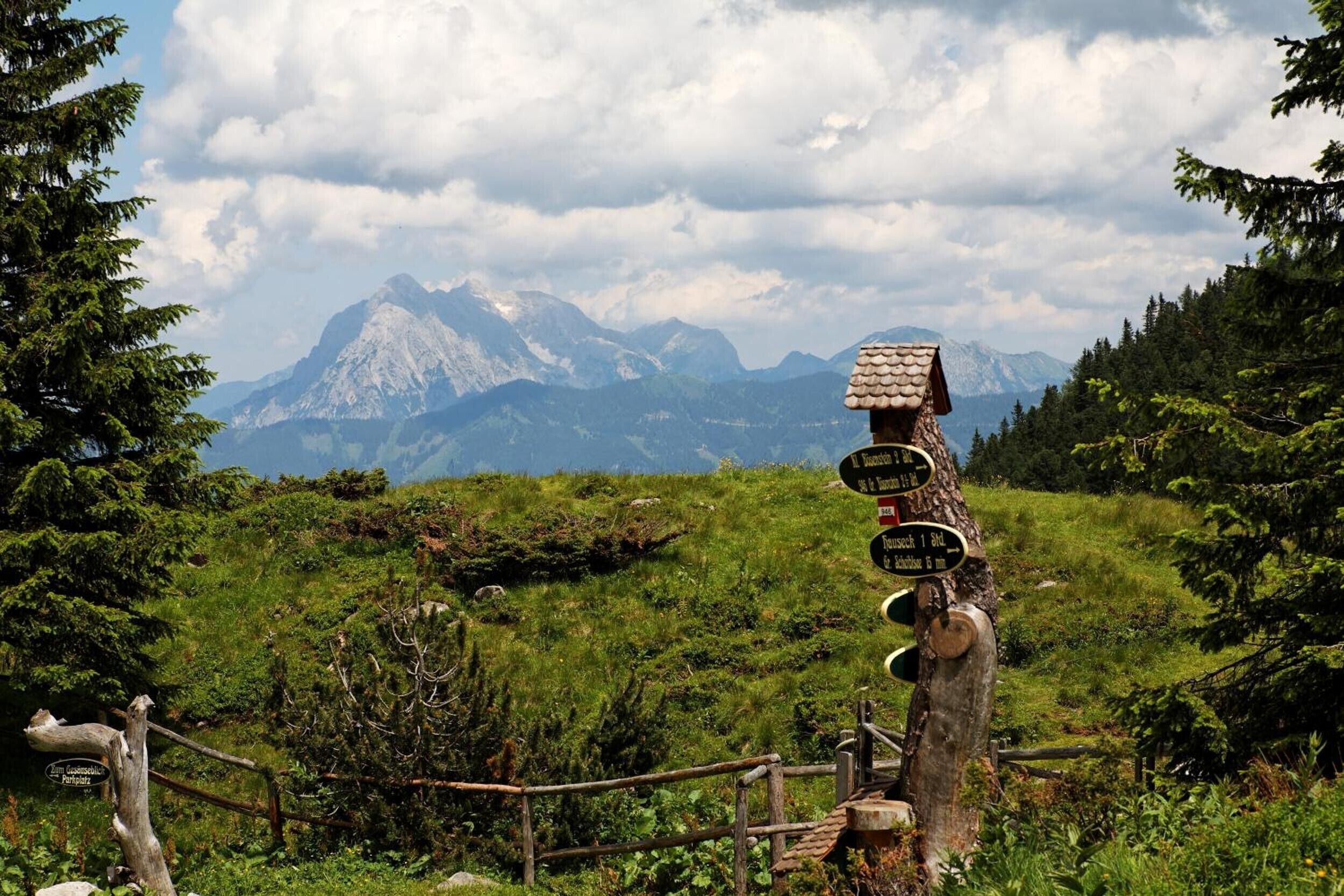 A wooden signpost with multiple directional signs in a mountainous area.