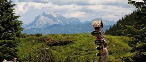 A wooden signpost with multiple directional signs in a mountainous area.
