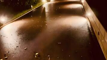 Une scène de rue nocturne, avec un pavé mouillé, des feuilles éparpillées et des lampadaires.