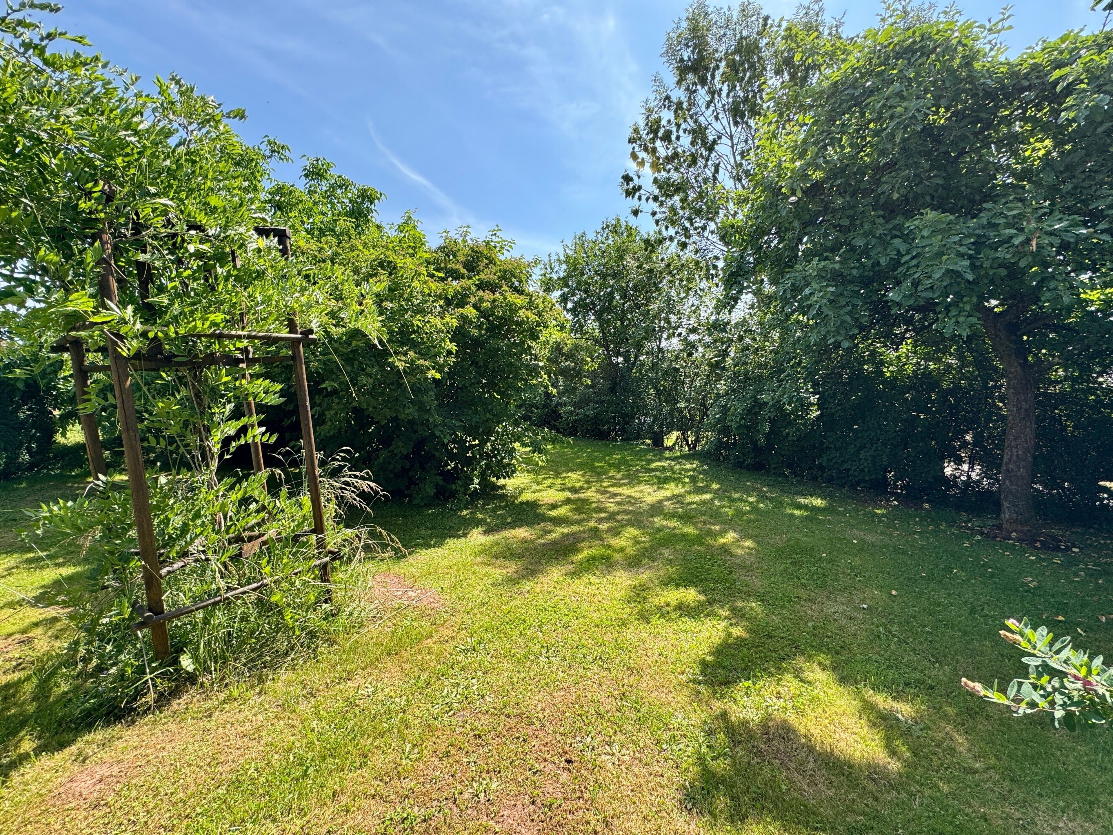 A garden with a wooden pergola, dense foliage, and a grassy area.