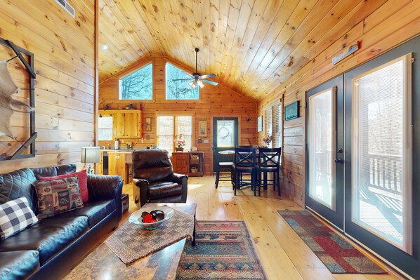 Fernseher, Kamin, DVD-Player