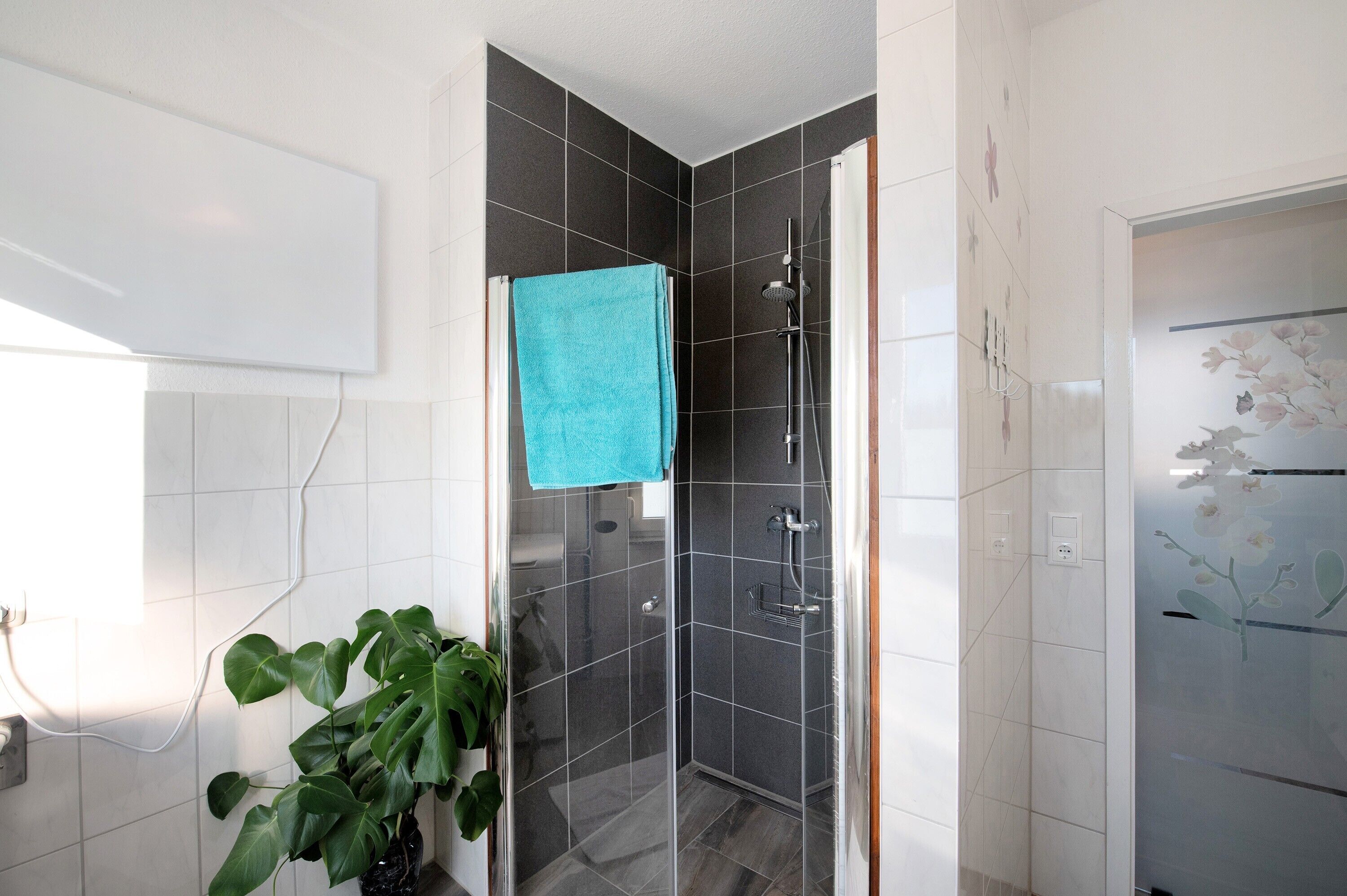 Shower, free toiletries, towels