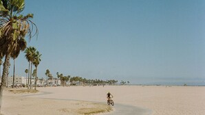 A sandy beach with palm trees and a clear sky. - Gjelina Hotel (Venice)