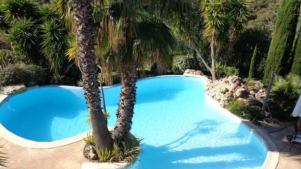 A swimming pool with a curved design, surrounded by palm trees and other greenery.