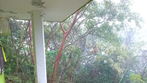Un espace extérieur abrité, doté d’un sol en pierre, d’une rambarde en métal et offrant une vue sur une végétation luxuriante.
