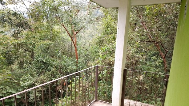 Un balcon doté d’une balustrade en métal, donnant sur une forêt dense.