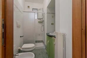 Shower, hair dryer, bidet, towels