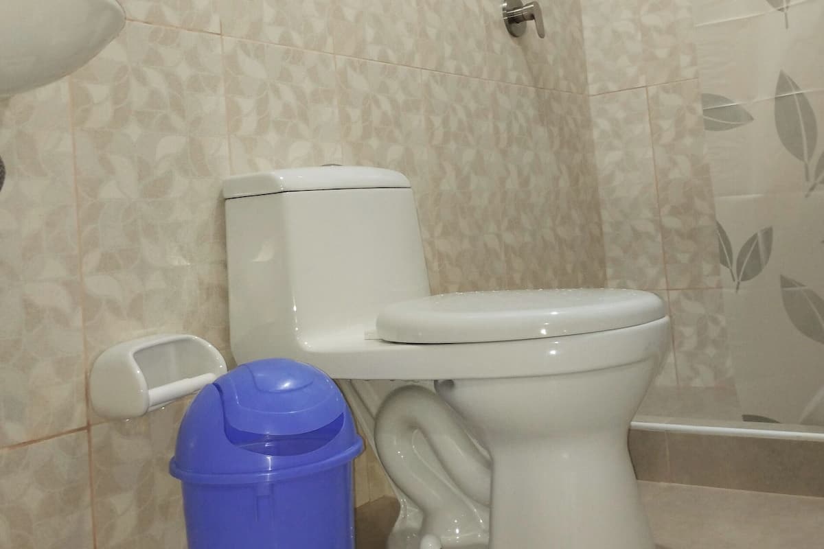 Casa de banho com sanita, um caixote de lixo azul e um chuveiro.