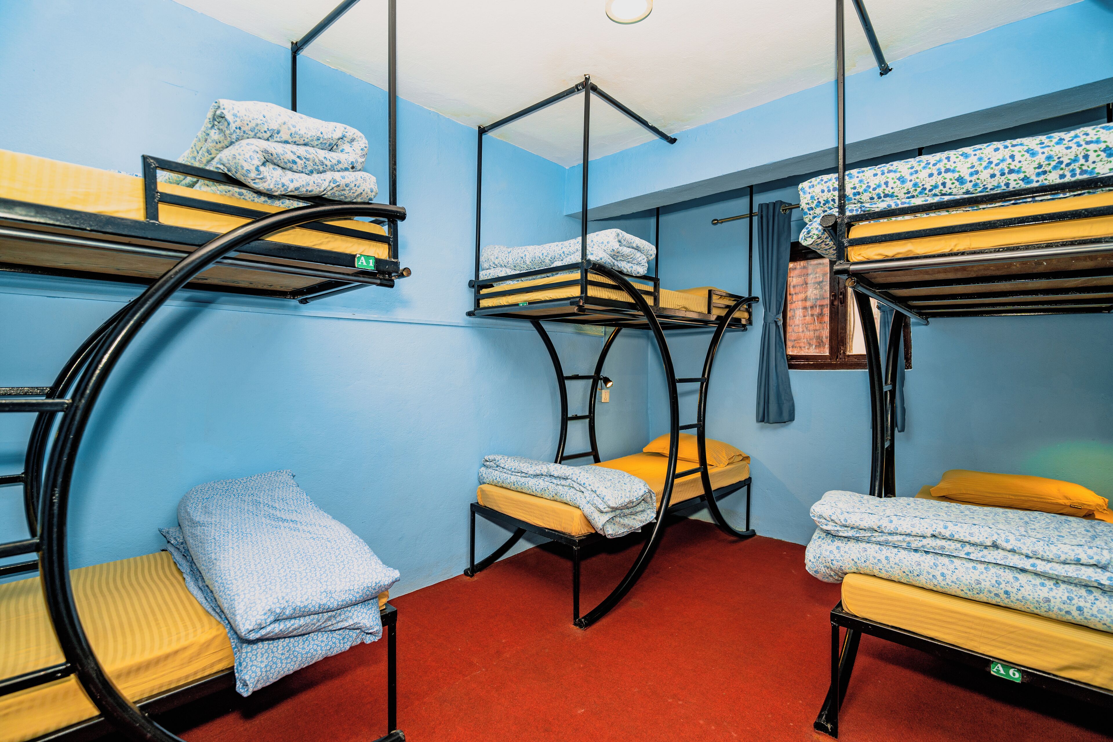 A dormitory room with bunk beds, a red carpet, and blue walls.