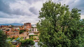 Vista desde la habitación