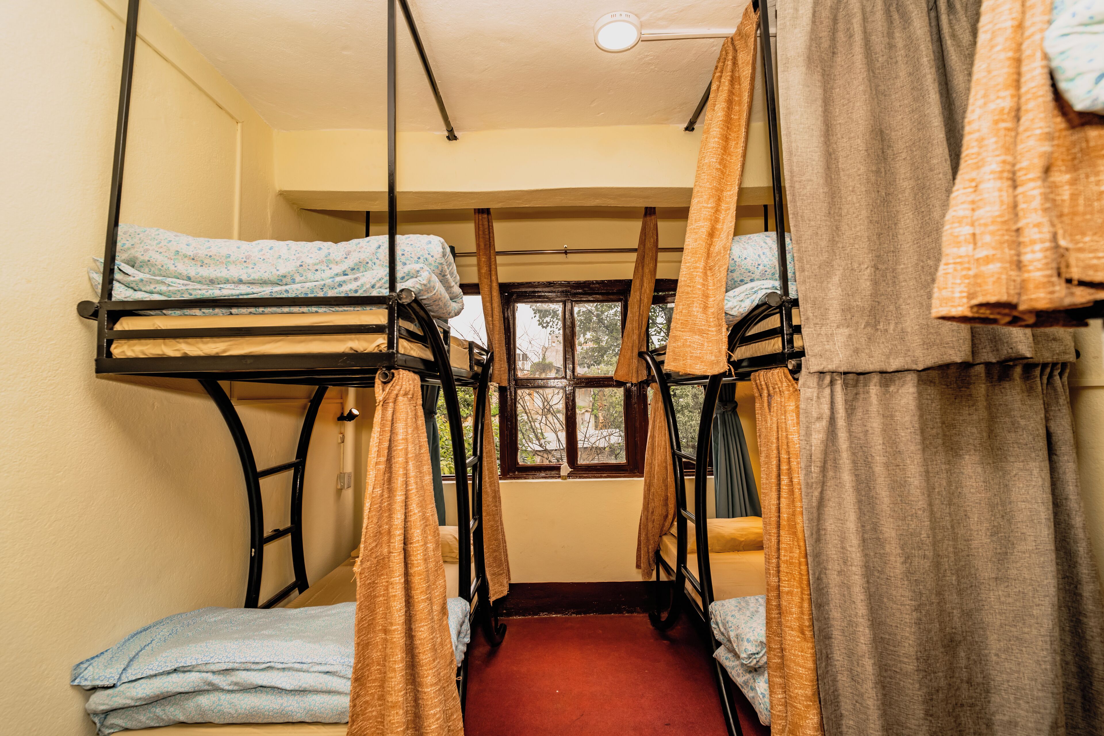 Un dormitorio con literas, alfombra roja y ventana con cortinas.