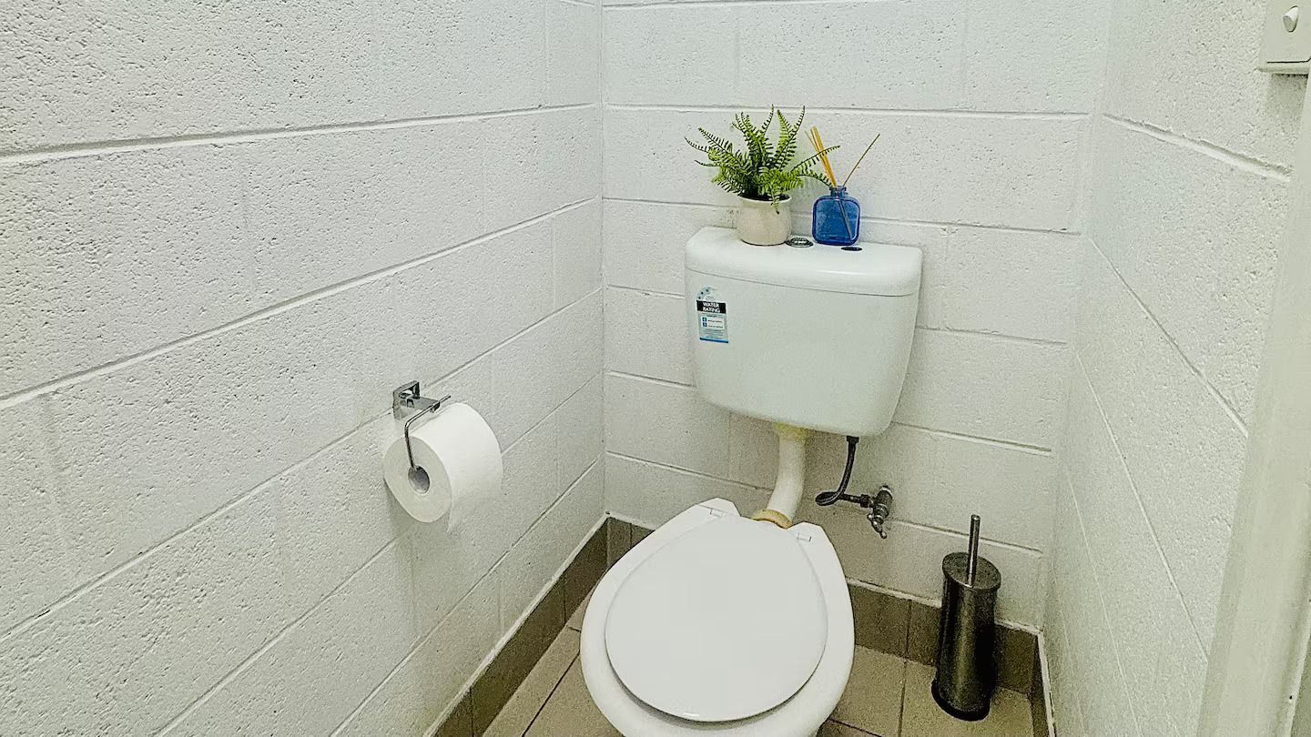 Une petite salle de bain aux murs blancs, équipée d’un WC, d’un rouleau de papier toilette, d’une plante en pot et d’une poubelle.