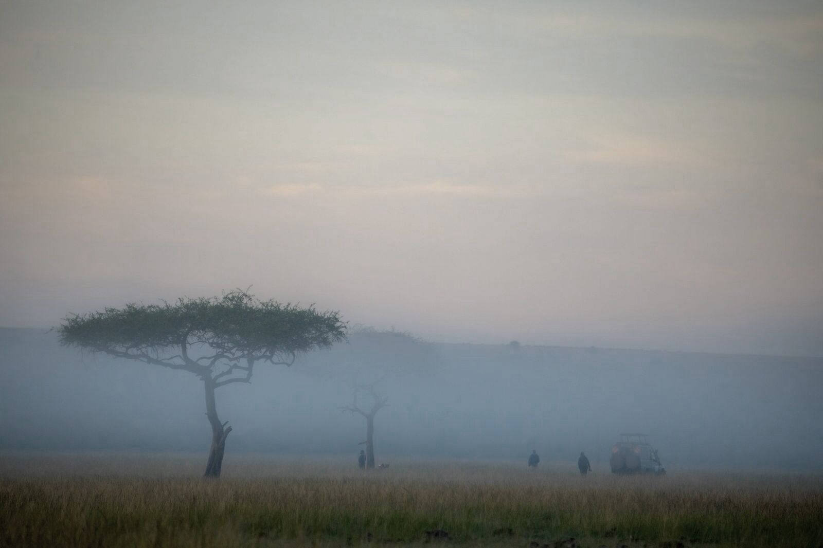 Un paisaje brumoso con un árbol destacado y algunas personas a lo lejos.