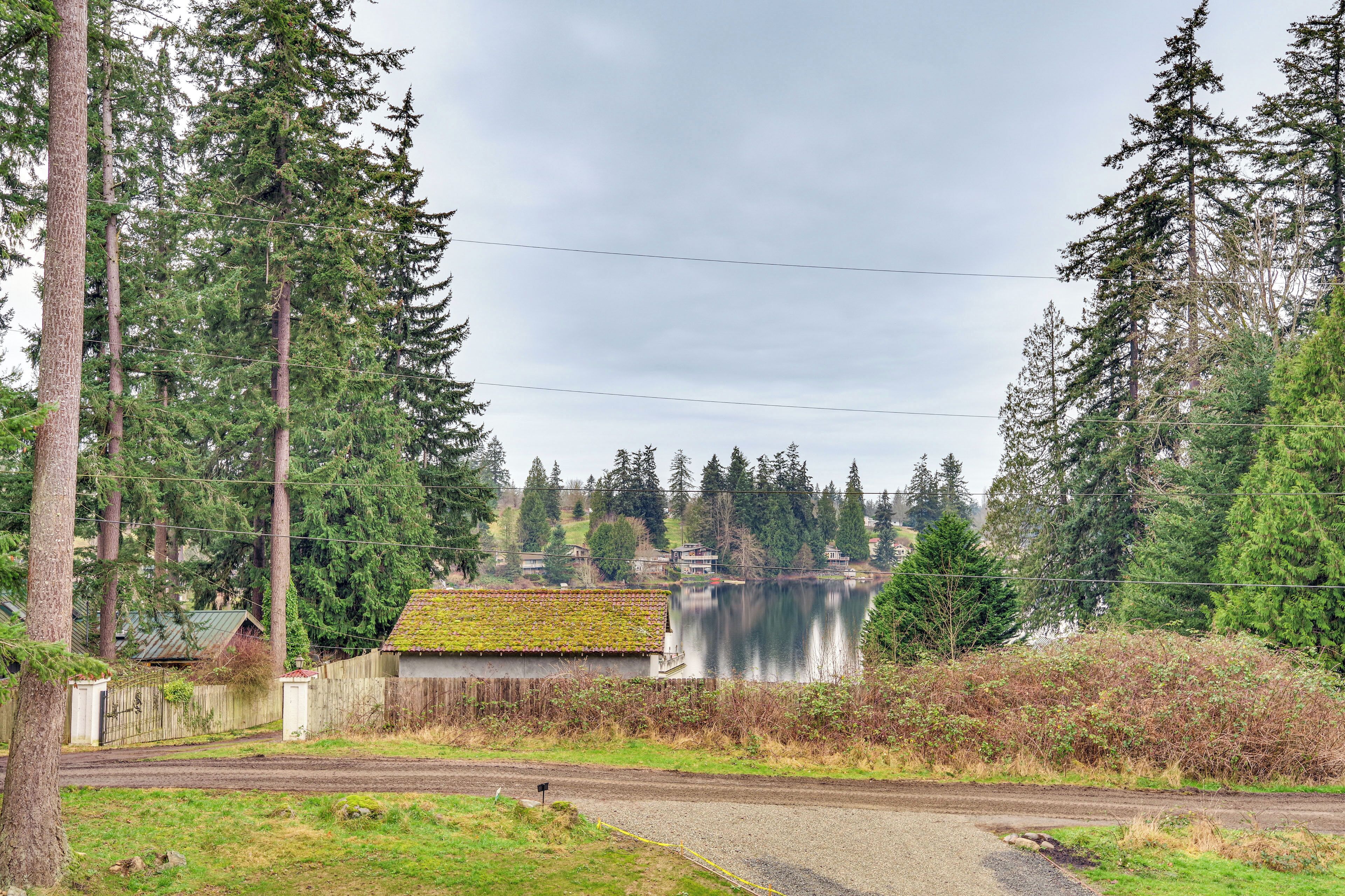 A rural road with a gravel path, surrounded by dense evergreen trees and a small building with a green roof.