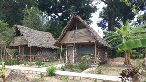 Dos cabañas rústicas con techos de paja, rodeadas de follaje y un sendero de piedra.