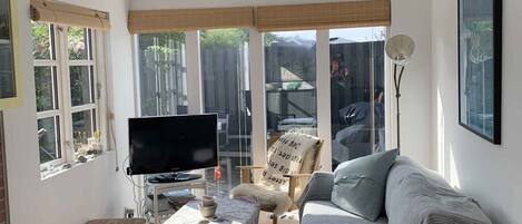 TV