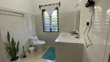 Shower, hair dryer, slippers, towels