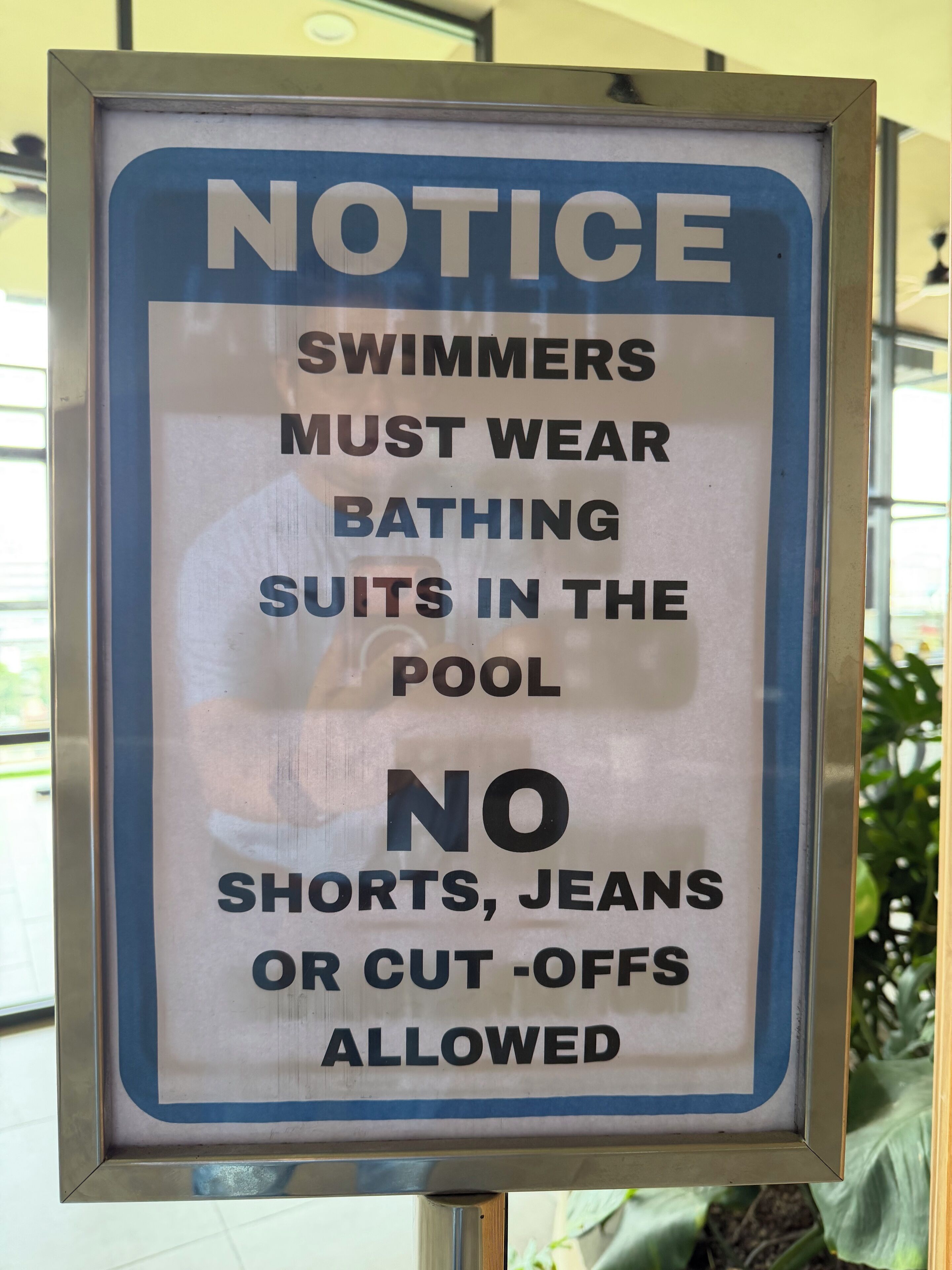 A notice sign with a blue border and white background, stating that swimmers must wear bathing suits in the pool and no shorts, jeans, or cut-offs are allowed.