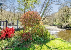 Unclassified image, 5 of 9, button