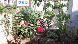 A garden with various plants and flowers, including a prominent red flower. - Antique apartment with balcony (Stari Grad)