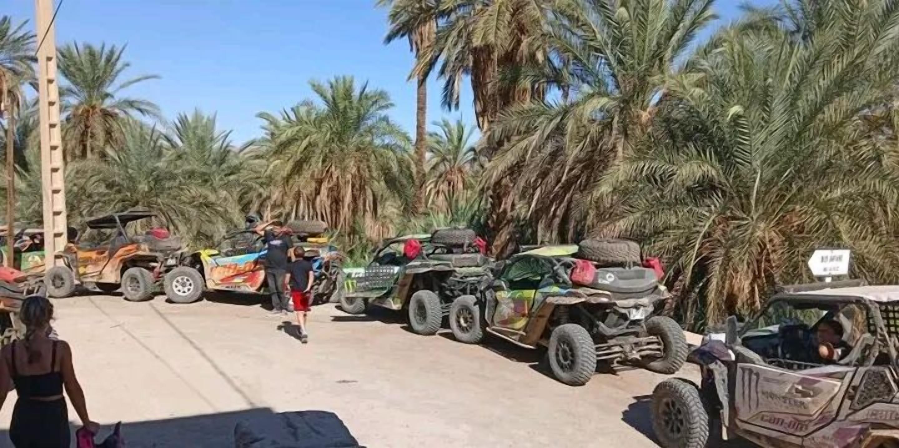 A row of off-road vehicles parked in a line with palm trees in the background.