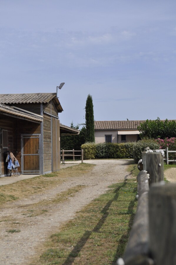 A rustic building with a wooden facade, a dirt path leading to it, and a fenced area with greenery.