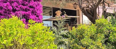 Terrein van de accommodatie