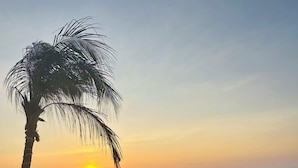 Une vue sur le coucher de soleil depuis un espace aménagé près de la piscine, avec un palmier et un ciel dégagé.