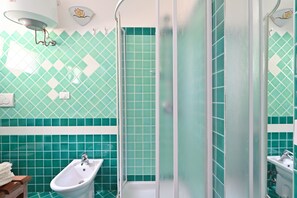 Shower, hair dryer, bidet, towels