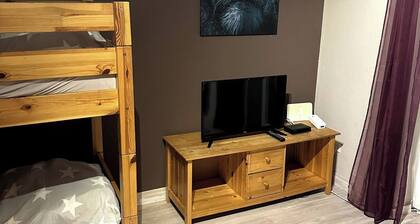 Large Apartment for 3-11 Guests in the Halle Leipzig Area