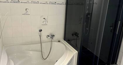 Large Apartment for 3-11 Guests in the Halle Leipzig Area