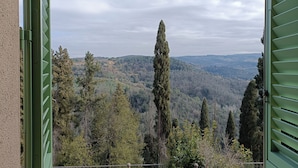 Vista desde un balcón con baranda de metal, con vistas a una ladera boscosa de árboles de hoja perenne y caducifolia.