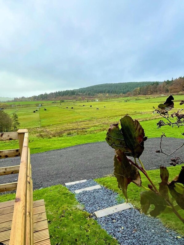 Cabin | Property grounds