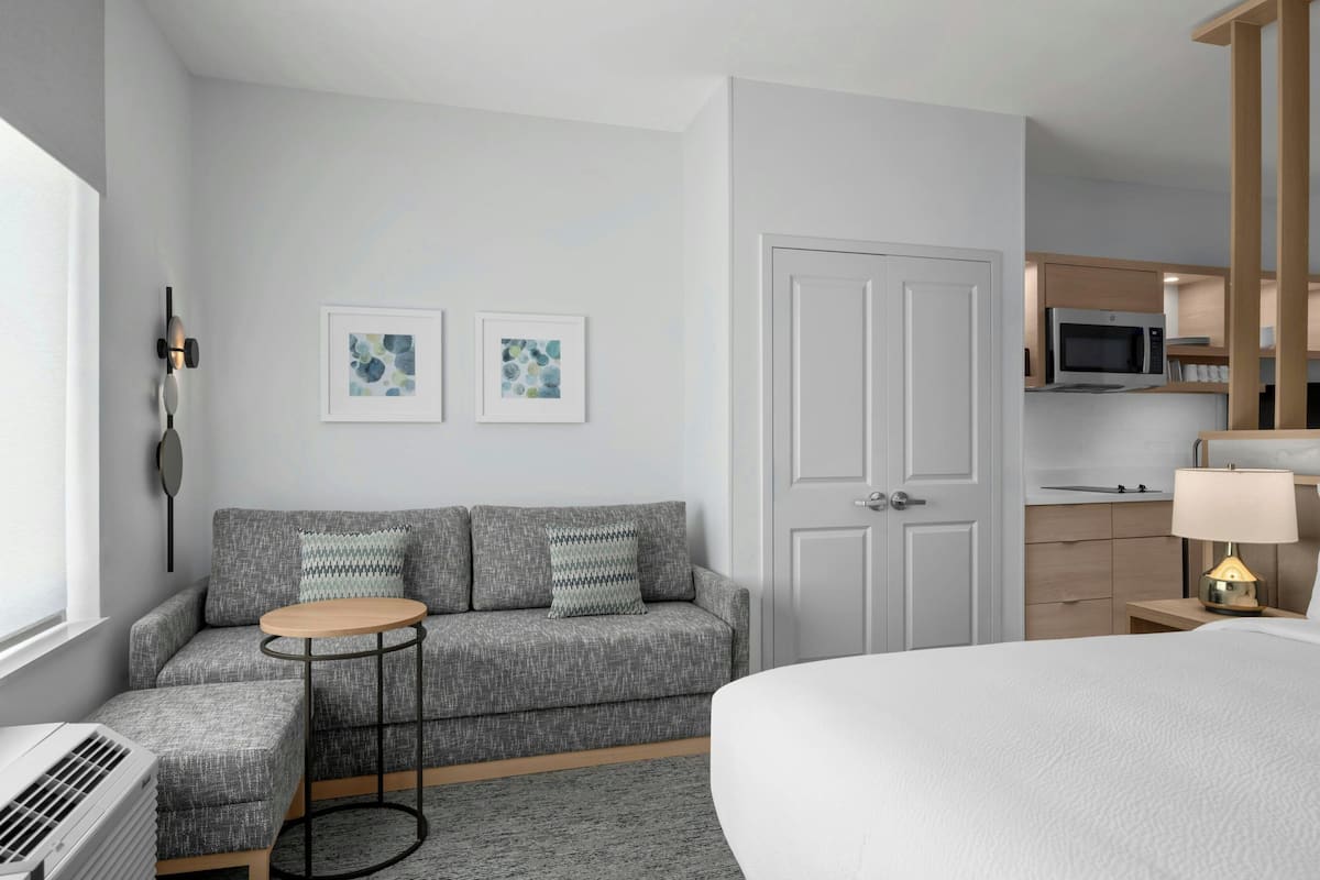 Studio, 1 King Bed with Sofa bed