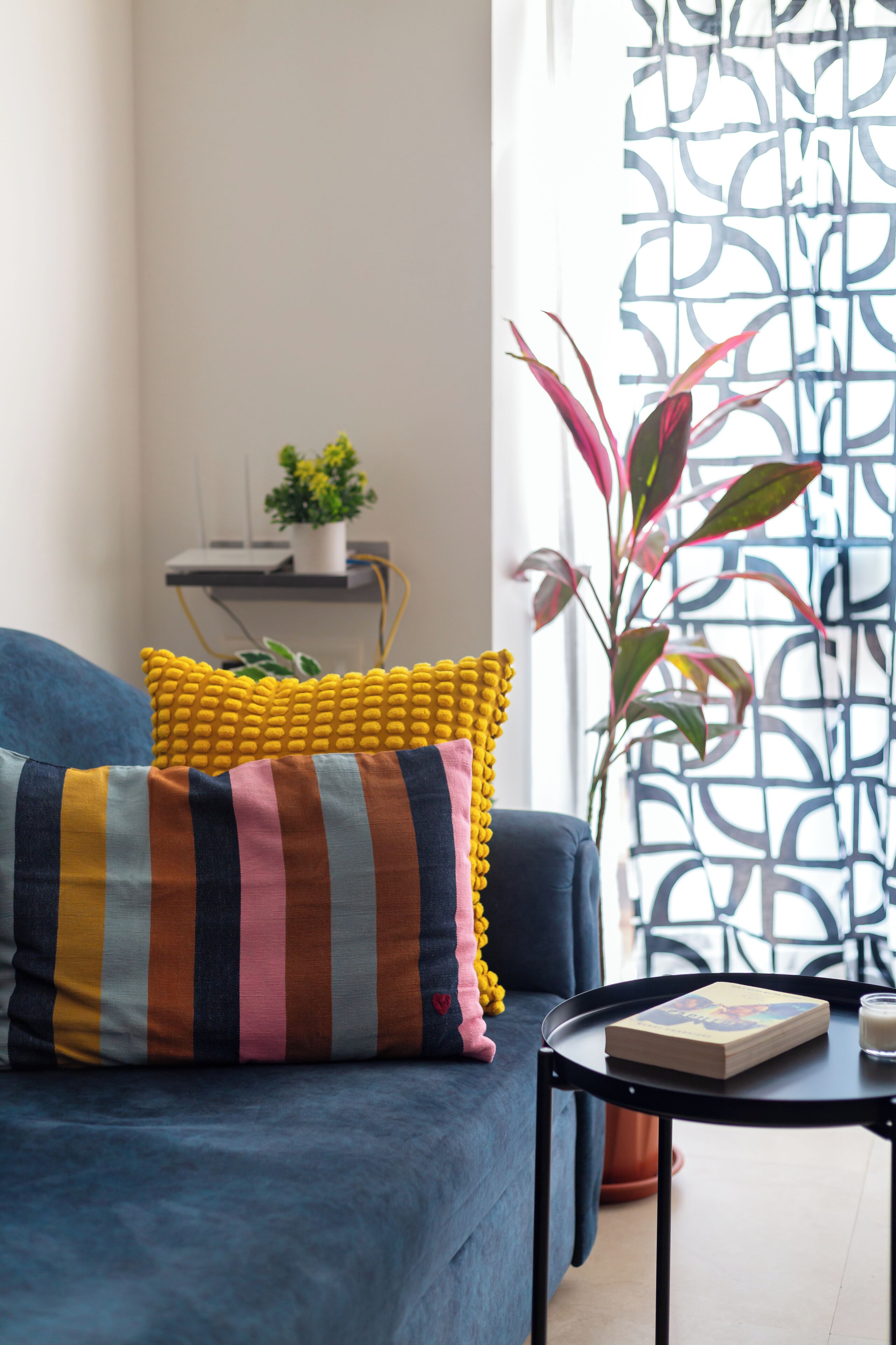 Televisión y libros 