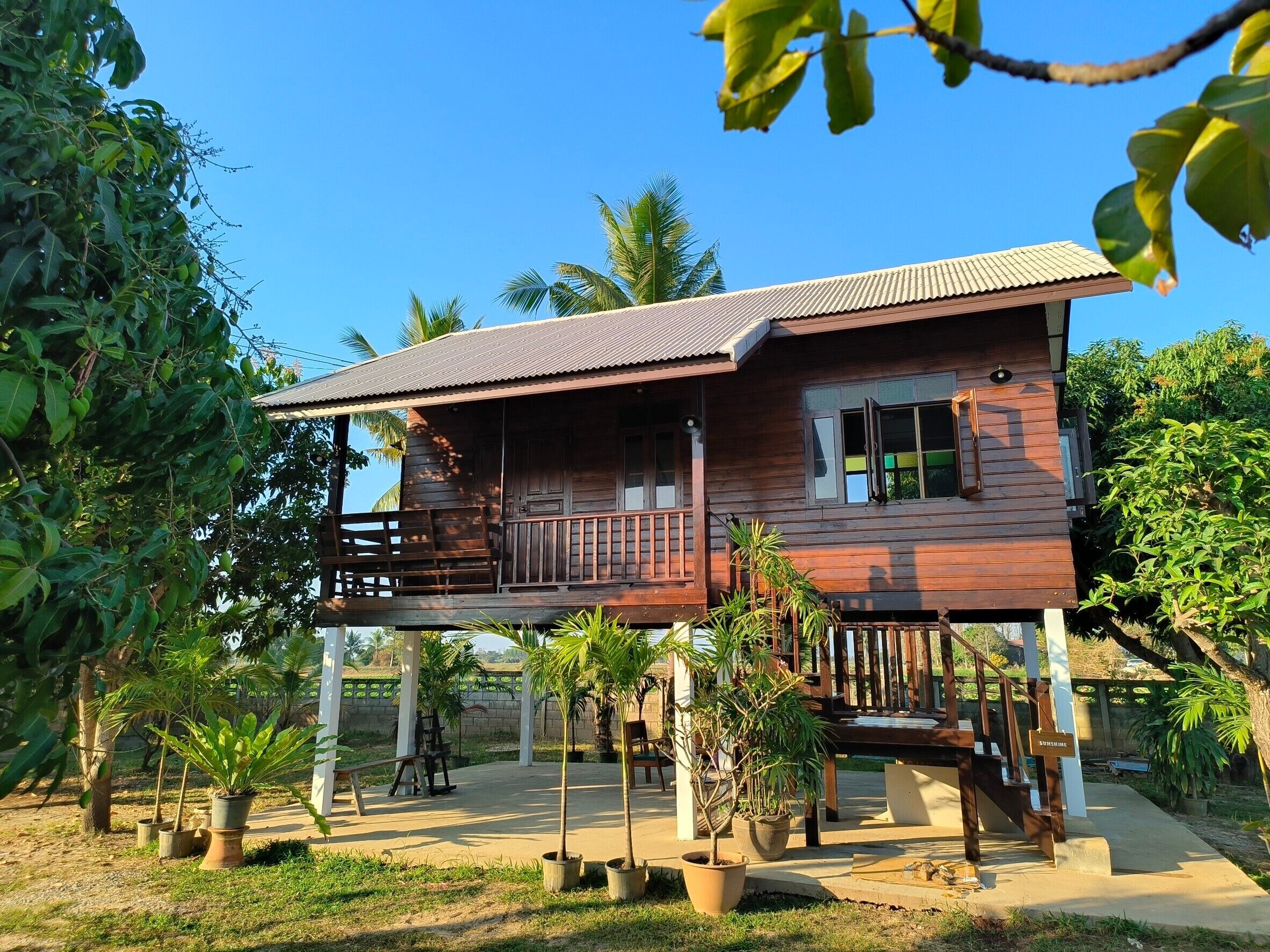 A wooden house with a balcony, surrounded by potted plants and palm trees.