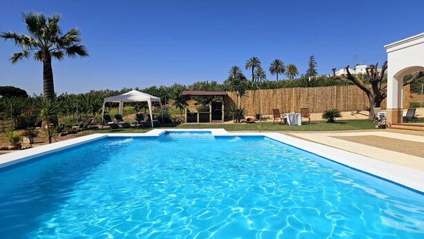 Une piscine rectangulaire à l’eau d’un bleu limpide, entourée d’une terrasse blanche. On aperçoit des palmiers et un espace de détente extérieur abrité à l’arrière-plan.