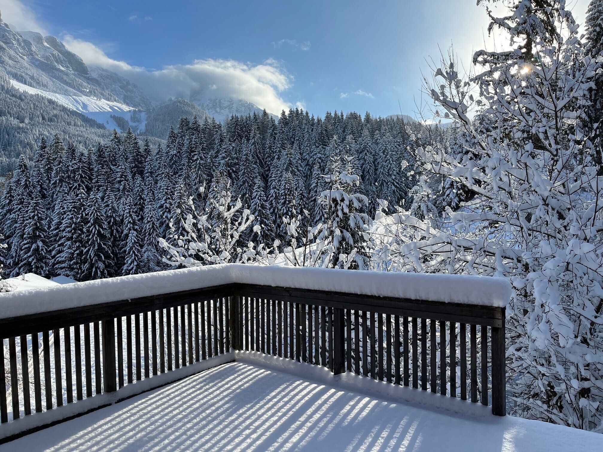Enceinte de l’hébergement