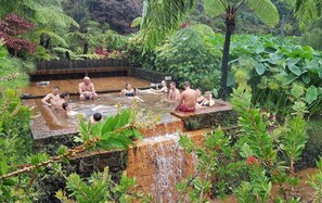 Hot springs - Bella Casa Bed & Breakfast (Ponta Delgada)