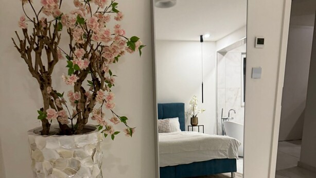 Une chambre avec un grand miroir, une plante en pot et un lit doté d’une tête de lit bleue.