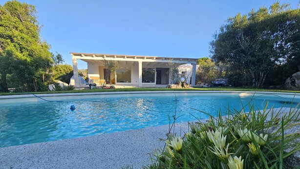 Una casa moderna con piscina, rodeada de abundante vegetación.