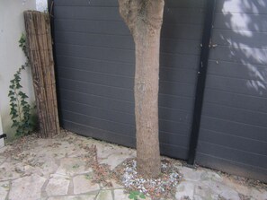 Terrain de l’hébergement 